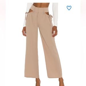 Super down trousers